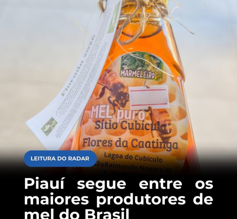 Piauí segue entre os maiores produtores de mel do Brasil