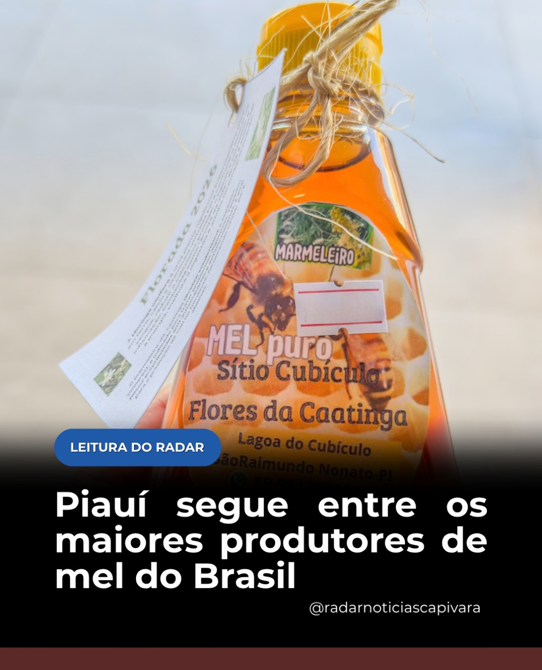 Piauí segue entre os maiores produtores de mel do Brasil